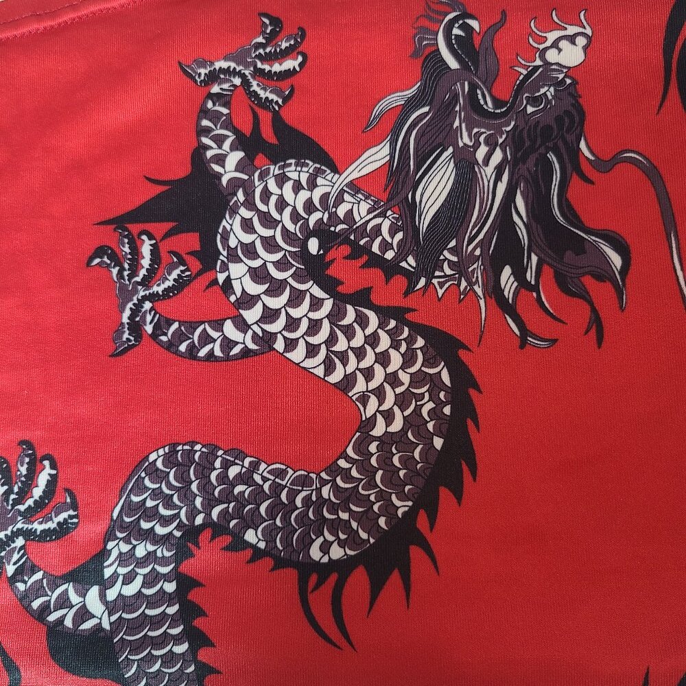 Red Dragon Print Crop Top with Non-Adjustable Straps – Size M - Picture 4 of 10